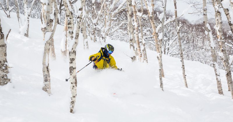 パウダースノーです！ Niseko-ShutterStock-Ski &